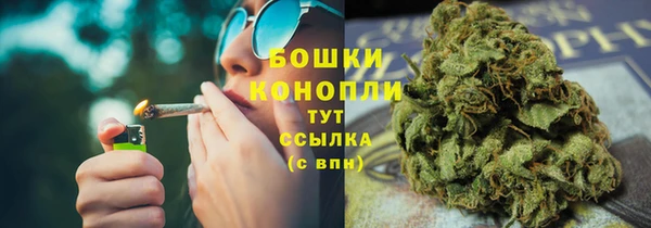 твердый Михайлов