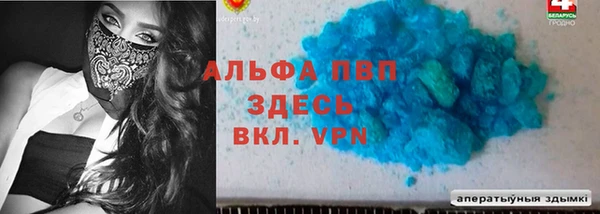 твердый Михайлов