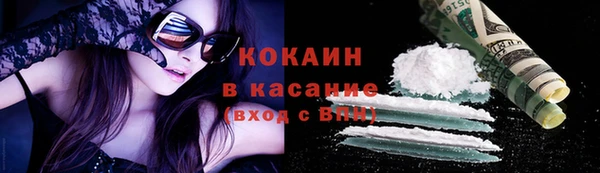 твердый Михайлов