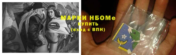 твердый Михайлов