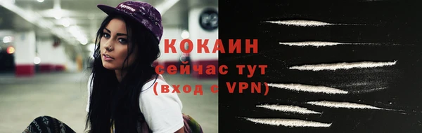 сатива Россошь