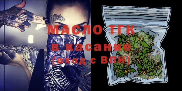 твердый Михайлов