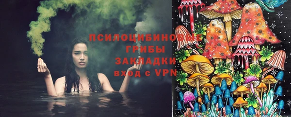 твердый Михайлов