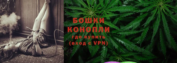 твердый Михайлов