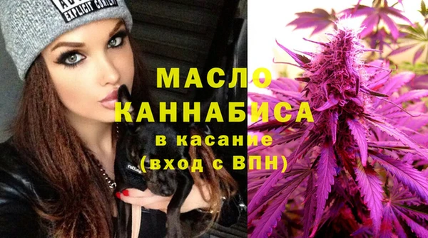твердый Михайлов
