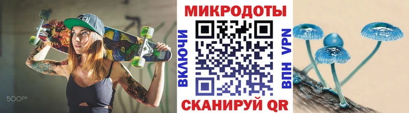 закладка  Мосальск  Галлюциногенные грибы Cubensis 