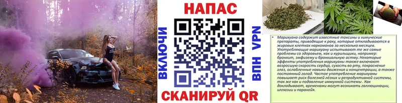 цена   Мосальск  Марихуана сатива 